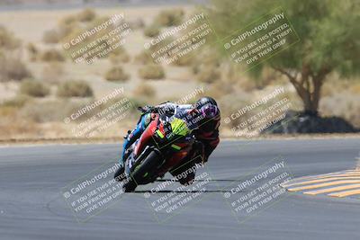 media/May-14-2023-SoCal Trackdays (Sun) [[024eb53b40]]/Turn 5 Tree of Life (1125am)/